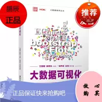 正版书籍 大数据可视化 王珊珊梁同乐马梦成高等院校计算机类专业大数据相关课程和非计算机类专业计算机
