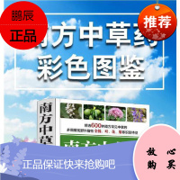 正版 南方中草药彩色图鉴 中草药辨识利用方法书籍600种南方常见中草药大全图书籍野外植物产地入药部