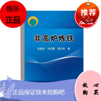 正版书籍 非高炉炼铁 直接还原和熔融还原的历史沿革和工艺特点以Midrex法HYL-Ⅲ法为代表的气