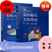 【全2册】染料敏化太阳电池柔性太阳电池材料与器件林原张敬波染料敏化太阳电池太阳能电池光伏材料研究染