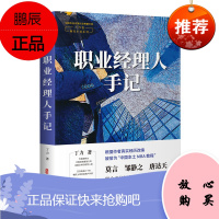 正版书籍 职业经理人手记(中国专业作家作品典藏文库.丁力卷)讲述在金融房地产娱乐等行业成功的失败的