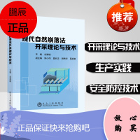 现代自然崩落法开采理论与技术 矿山的建设和生产 实践技术 运输 监测 防控