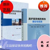 [全2册]高炉高效低耗炼铁理论与实践高炉流程冶炼含铬型钒钛磁铁矿理论与实践高炉炼铁领域相关科研生产