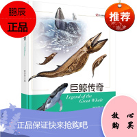 正版书籍 巨鲸传奇隋鸿锦生命奥秘丛书鲸的进化之路种群分类捕食技巧洄游同鱼类之区别儿童科普读物海洋生