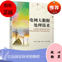 正版书籍 电网大数据处理技术 张x东黄建ping钱仲文方红电网技术相关人员参考书电网大数据采集据存