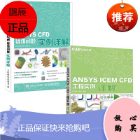 [全2册]CAE分析大系——ANSYS ICEM CFD工程实例详解(附光盘)CAE分析大系 AN