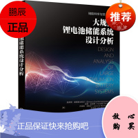 正版书籍 大规模锂电池储能系统设计分析 电池的基本机理结构设计以及应用场景解析电池原理电气特性热管