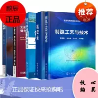 [全5册]氢能利用关键技术系列--制氢工艺与技术氢能利用关键技术系列氢安全氢气储能与发电开发太阳能