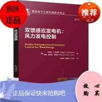 正版书籍 双馈感应发电机:风力发电控制 埃德加N桑切斯风力发电领域的相关研究人员参考高校研究人员研