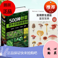 实用野生蘑菇鉴别宝典+500种野菜野外识别速查图鉴 蘑菇鉴别方法工具书 蘑菇品种种类大全书