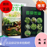 2册 苔藓图鉴+玩苔藓 种植养护方法 花艺盆景设计书籍 微型盆栽创意DIY 花艺园艺景观盆栽盆景设计