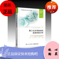 正版书籍 第三代半导体材料发展态势分析第三代半导体材料发展态势分析项目组相关技术发展技术专利相关行