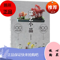 盆艺小品 盆景盆栽DIY书籍 兑宝峰 盆景造型设计图盆景制作书养护书籍盆景艺术造型书树木盆景造型设