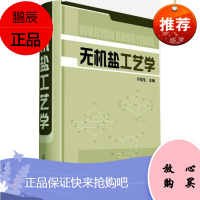 官方正版 无机盐工艺学 宁延生 化学化工工具书 无机盐公益无机盐工艺学 无机化学工艺参考书籍