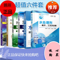 正版 水处理技术 共6册 污水处理工程设计实战书 污水处理方法工艺流程书 污水设计总图施工图设计指南