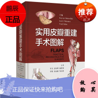 实用皮瓣重建手术图解 李卫 孟庆刚 赵德伟等 世界皮瓣重建先驱者的个人经验 临床医学 上海科学技术出