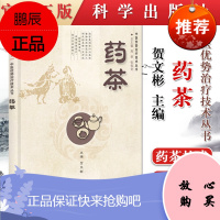 中医优势治疗技术丛书—药茶 贺文彬主编 茶剂食物疗法 科学出版社9787030397416