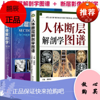 2本断层影像解剖学第三3版+人体断层解剖学图谱胸腔腹部盆部上下肢解剖断面X线CTMRI超声核素扫描