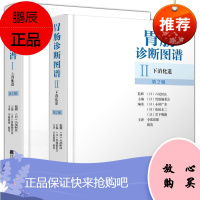 胃肠诊断图谱:上下消化道(第2版)(共2册)
