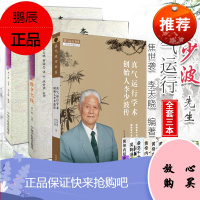 全套3本 真气运行学术创始人李少波传+李少波真气运行法+针灸推拿实践 中国中医药出版社