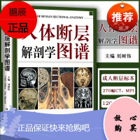 正版 人体断层解剖学图谱(精) CT人体断层局部解剖影像学 人体解剖学断面解剖学图谱 刘树伟主编 山