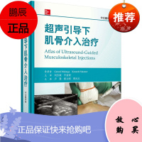 超声引导下肌骨介入治疗 肌肉骨骼系统疾病诊断参考用书