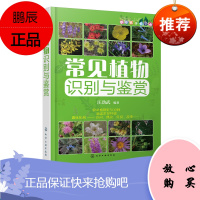 常见植物识别与鉴赏 收录植物近500种 野外植物鉴别图册 常见植物野外识别速查景观园林植物图鉴大