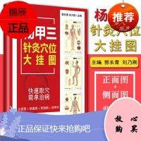 杨甲三针灸穴位大挂图 郭长青 刘乃刚主编 2018年7月出版 版次1 平装 978752140217