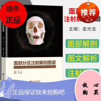 面部分区注射解剖图谱 金光龙著 微整形注射美容解剖医学技术 辽宁技术科学出版社 9787559110
