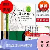 人体经筋解剖图谱+人体经筋循行地图 第2版 全套2册 图解学习人体经筋解剖及筋结点 循行中医针灸学