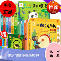 奇趣拉拉发声书 Baby触摸书 婴幼儿手指点读认知有声0一1-2到3岁宝宝撕不烂启蒙早教奇妙发音推拉