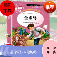 金银岛正版书原著小学生三四五六年级阅读课外书籍世界经典儿童文学名著青少年版课程化丛书山东美术快乐读书