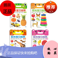 书幼儿启蒙大书全4册幼儿园宝宝看图识物识字认数学拼音英文字母儿歌唐诗交通工具动物0-3岁婴儿童早教启