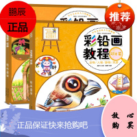 套装全2册 彩铅画教程起步篇+提高篇 少儿美术从入门到精通创意美术教程零基础学彩铅动物人物静物风景画