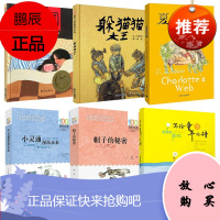 三年级课外书 全套6册躲猫猫大王夏洛的网帽子的秘密小灵通漫游未来柔软的阳光团圆绘本二四五年级小学