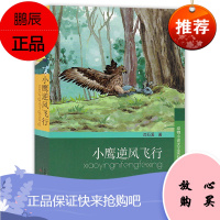小鹰逆风飞行 沈石溪著/动物小说大王沈石溪全新力作/撑开生命的翅膀 向未来约定一场逆风的旅行/新蕾