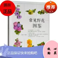 正版常见野花图鉴 认识常见野花从入门到精通 常见野生花卉学名花期别名科属和分布范围形态特征生长习性百