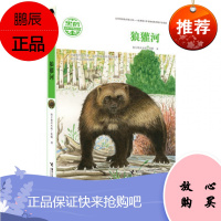 狼獾河 黑鹤动物文学精品系列 格日勒其木格.黑鹤著 接力出版社非狼灌河 中小学生课外儿童青少年 动