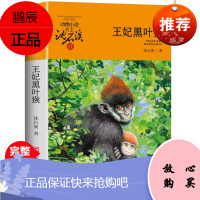 王妃黑夜猴升级版沈石溪动物小说系列7-10-11-14岁五六年级儿童文学课外阅读书籍儿童故事读物浙江