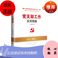 党支部工作实用图解(DM)(2019版)新时代党务读物 本书编写组