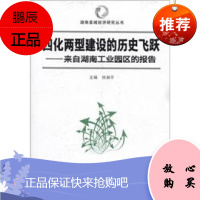 四化两型建设的历史飞跃 湖南师范大学出版社 徐湘平新华书店正版图书