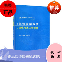 低强度超声波强化污水生物处理