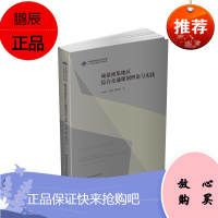 城镇密集地区综合交通规划理论与实践
