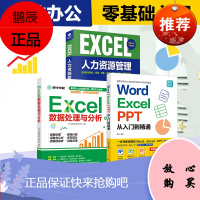 3册Word excel PPT excel数据处理与分析 office教程表格制作函数公式幻灯片