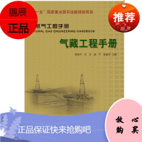 气藏工程手册(天然气工程手册)