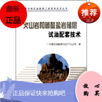 火山岩和碳酸盐岩储层试油配套技术/中国石油勘探工程技术攻关丛书 9787502177669
