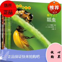 生命的故事辑诞生了小龙虾蝌蚪蚂蚁瓢虫独角仙水虿螳螂等共10册儿童科普百科认知书籍少儿艺术图书昆虫摄