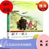 原版 桥下一家人 新蕾出版社阅读书美卡尔森 升级版国际大奖小说 纽伯瑞儿童文学奖银奖作品桥下的一家人