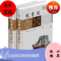 观赏石收藏与鉴赏 彩版全套2册精装中国艺术品收藏鉴赏实用大典 中国观赏石文化 观赏石收藏鉴赏指南