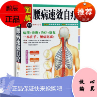 图解 腰病速效自疗(健康大学堂) 彩色插图精解 病理诊断治疗康复 一本在手腰病远离 疗法轻松学 腰椎